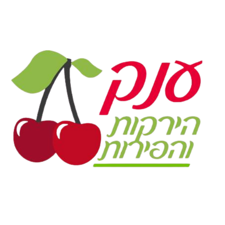 עיצוב ללא שם (24)